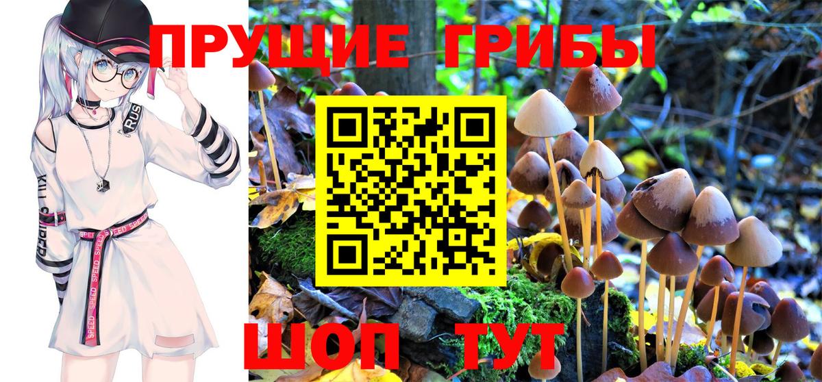 Псилоцибиновые грибы Magic Shrooms  Видное 