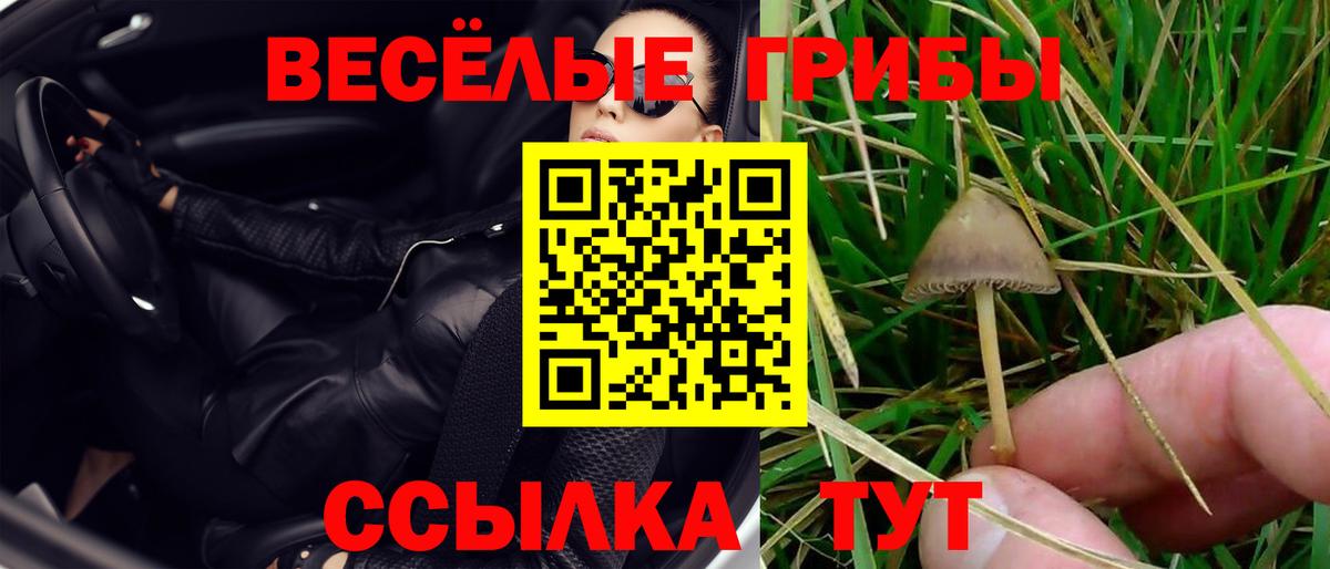 Галлюциногенные грибы прущие грибы Видное